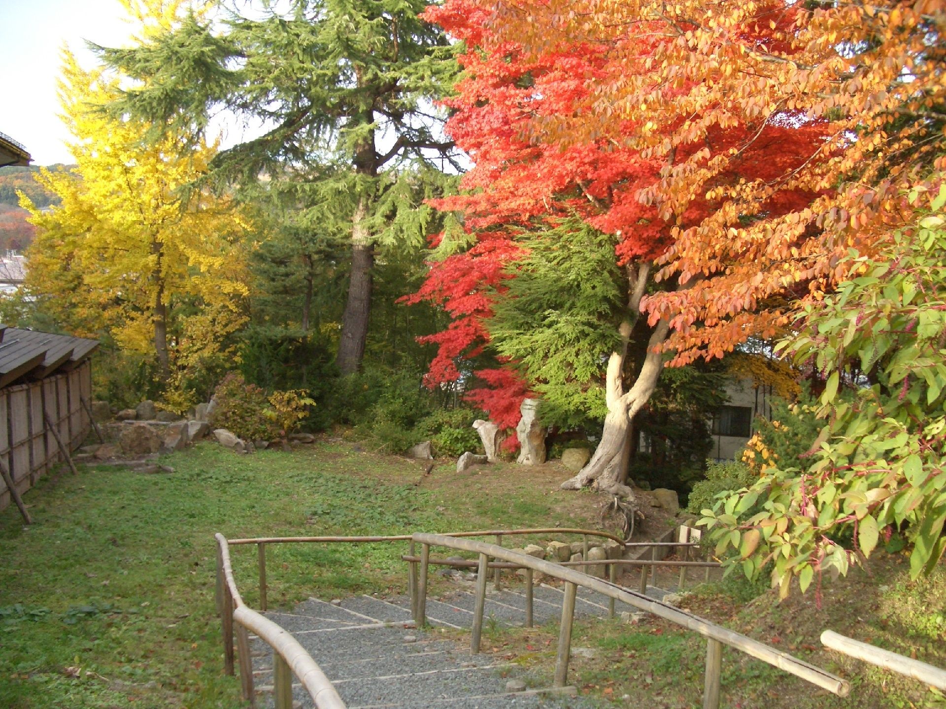 緑色の葉の茂った木々がある。針葉樹や広葉樹など各種あり、季節によってさまざまな表情を見ることができる。