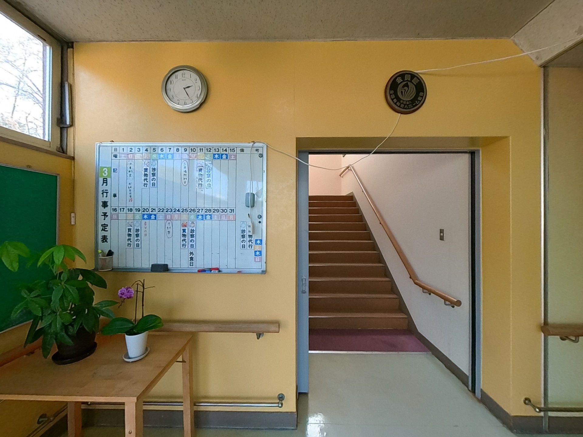 階段前の掲示板と植物