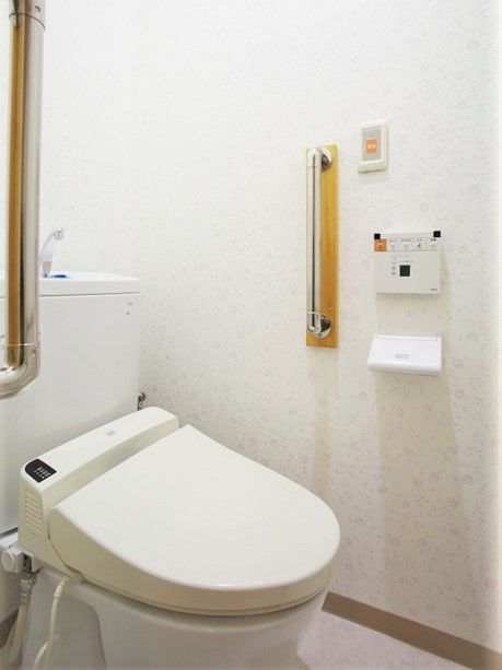 立ち上がり用の手すりが付いている施設内の高齢者用トイレ。両側に手すりが付いている
