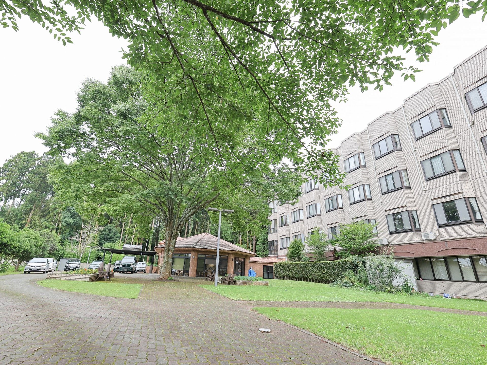 緑豊かな施設外観