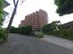 緑豊かな建物の外観