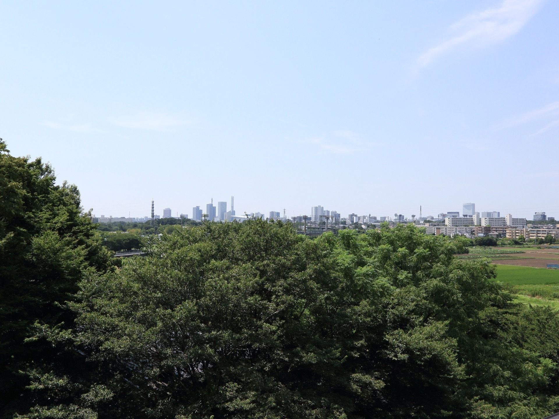 緑色の葉が生い茂る森があり、その向こうにはグラウンドがある。遠方には高層のビルやマンションが立ち並んでいる風景である。