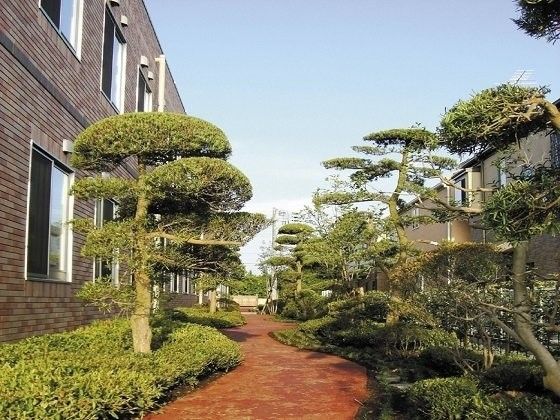 施設内には、遊歩道が完備されている。歩道は整地され安全に歩行ができる。周辺には手入れの行き届いた草木が植えられている。
