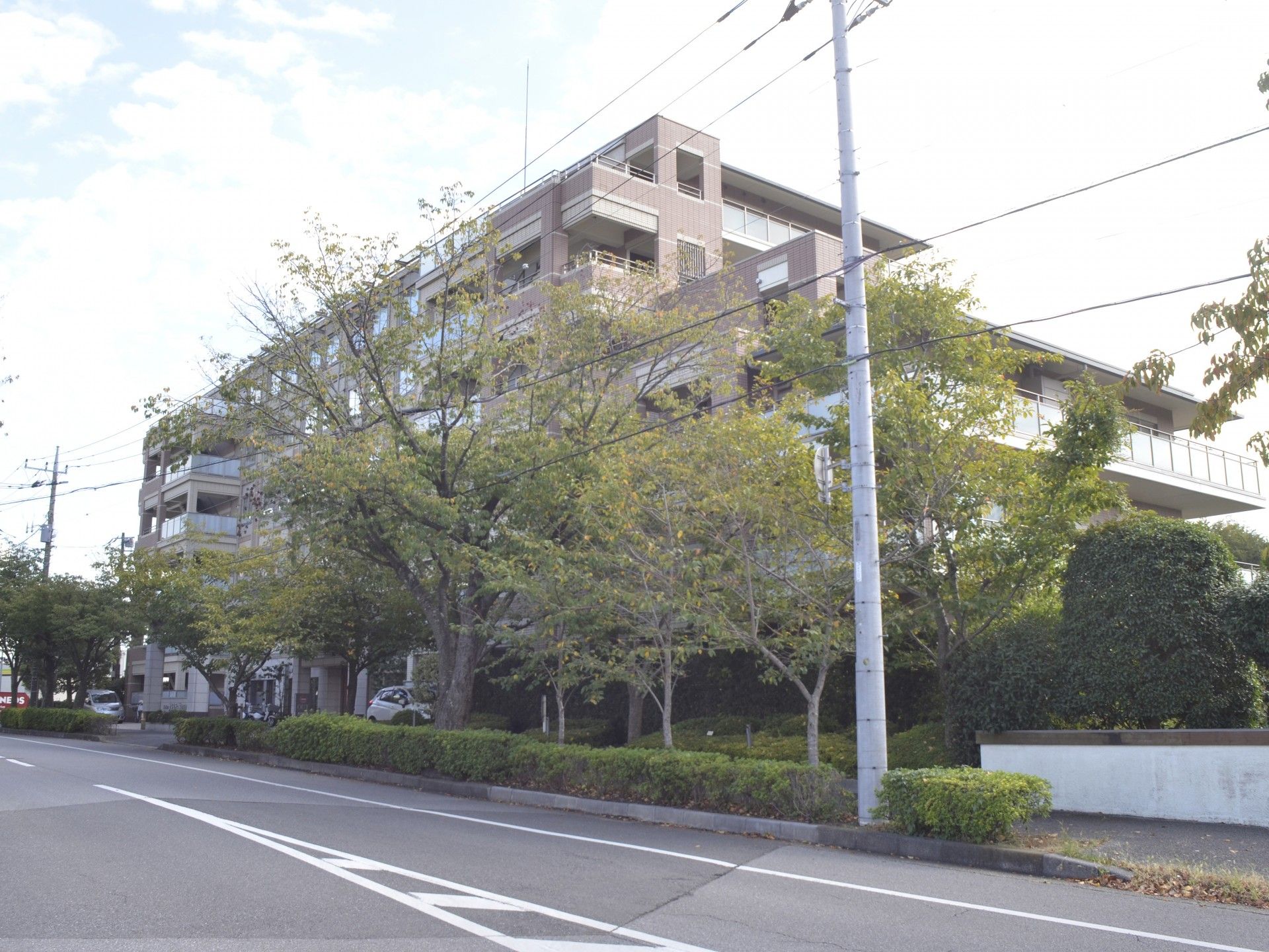 緑に囲まれた建物の外観