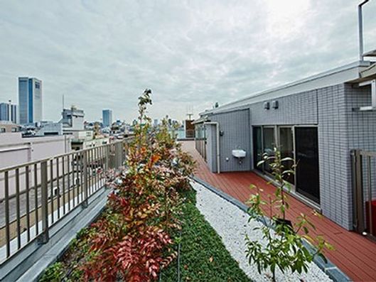 屋上庭園