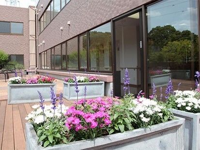 ピンクや紫、白の花が植えられた高さのある花壇が複数設置されたウッドデッキのテラス。