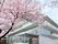 桜の花が咲いている施設のエントランス付近。ガラス張りのスタイリッシュな外観