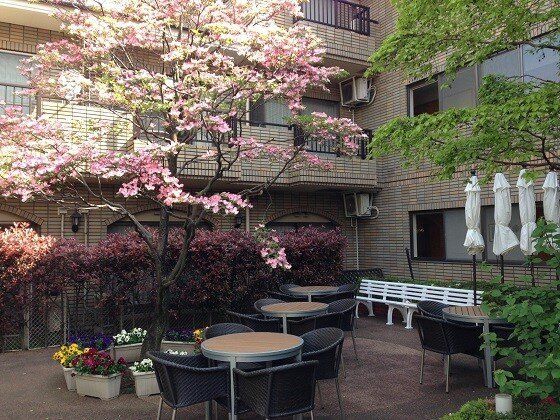 たくさんの花が咲いている中庭。テーブルセットやベンチも置かれ、花が植えられたプランターも複数置かれている。