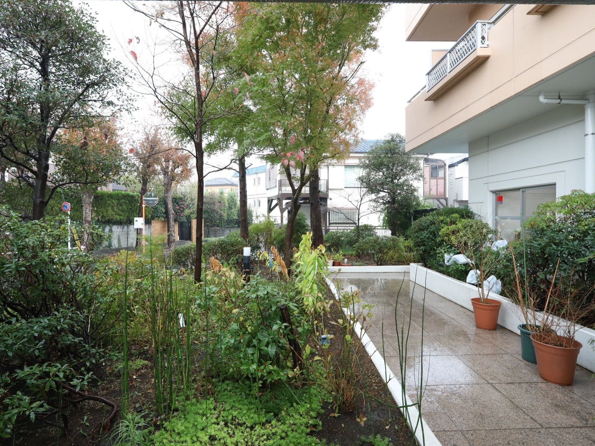 建物の脇はタイル張りの通路になっており、植栽の中を散策できるようになっている。周囲は緑の多い住宅街である。