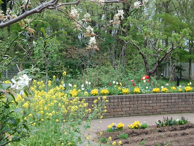 春の花が咲き誇る施設内の花壇と遊歩道。整然と整理された中庭の様子