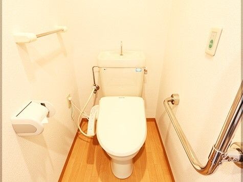 グリーンの押出ボタンが設置されたトイレにはエル字型の手すりやトイレットペーパーホルダーなどがある。