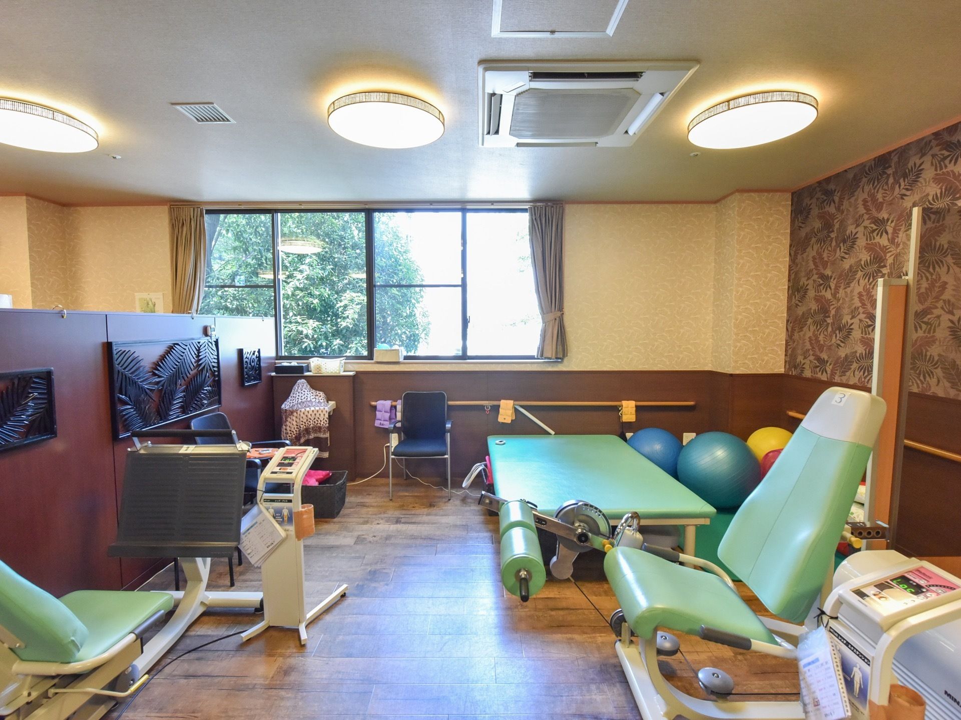 運動器具やストレッチボールなどが複数用意されている。壁には手すりが設置されている。天井には大きめのライトがつけられている。