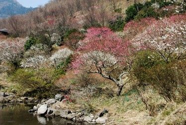 憩いの庭園風景