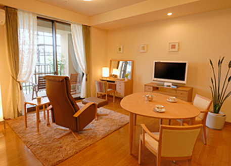 ナースコールや介護用ベッドや手すりを備え、テレビなどの家具を置いた部屋