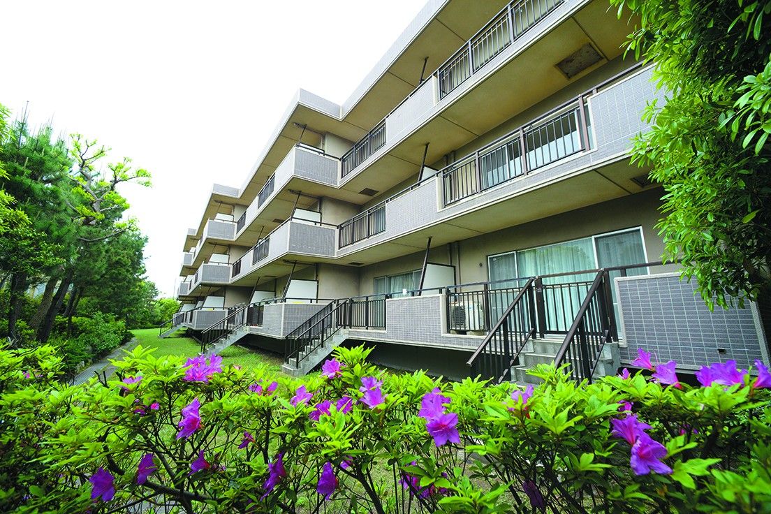 緑豊かな外観の建物
