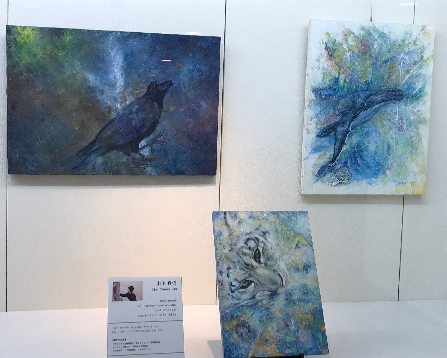 壁に掛かるアート作品展示
