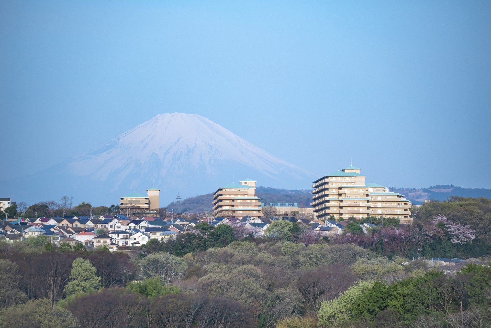 遠くに山を望む建物群