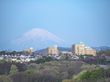 遠くに山を望む建物群