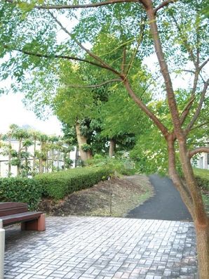 遊歩道