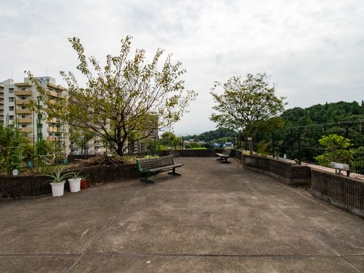 屋上ガーデン