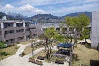 緑豊かな庭園風景