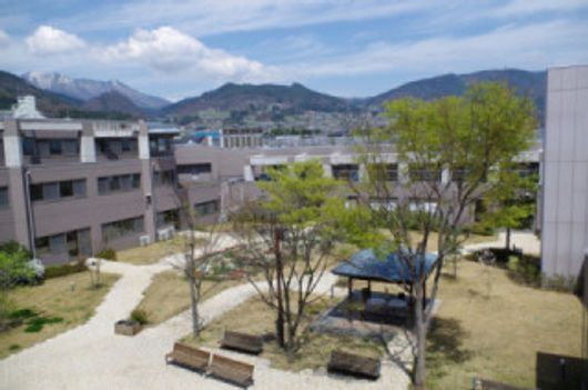 中庭