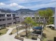 緑豊かな庭園風景
