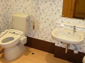 右側には車いす対応の洗面所があり、壁には鏡が付いている。左にはふたのないトイレがあり、手すりもある。