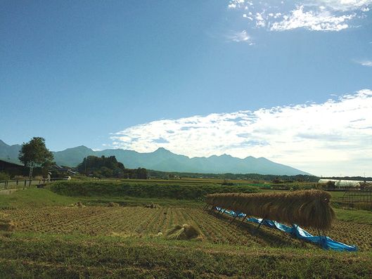 中庭