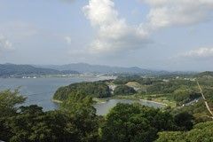 緑豊かな景色の眺望