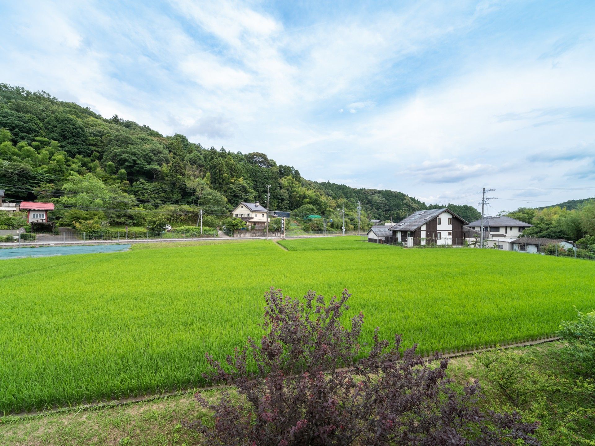 のどかな場所にある施設