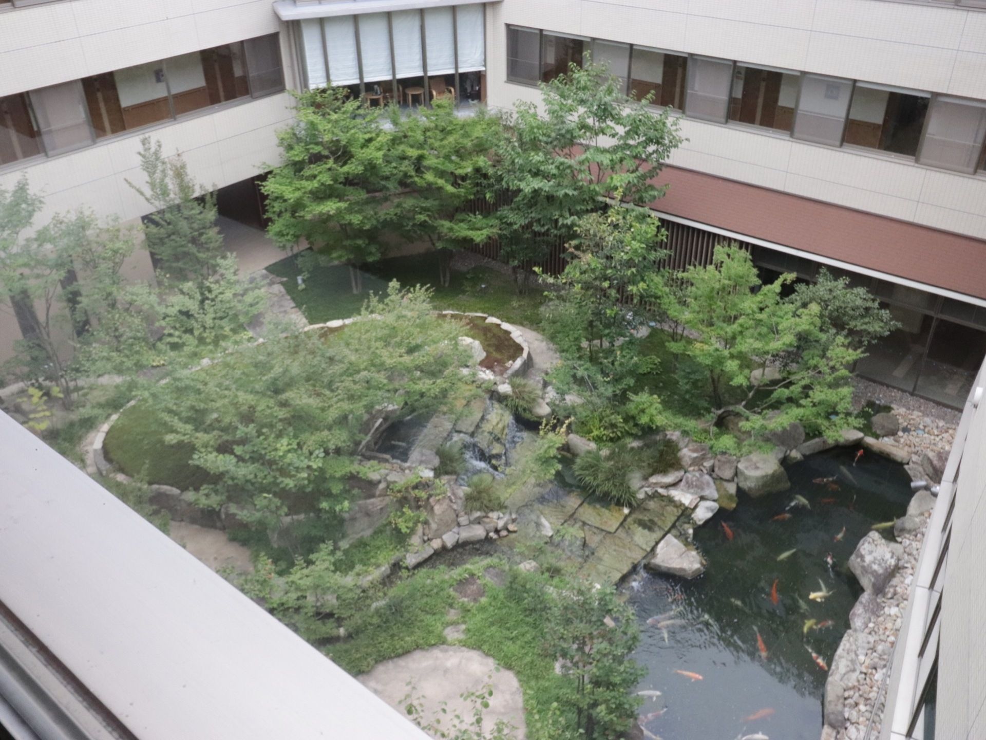 施設の敷地内には広い庭園があり、大きな池にはたくさんの鯉が泳いでいる。そばには、木が植えられている。