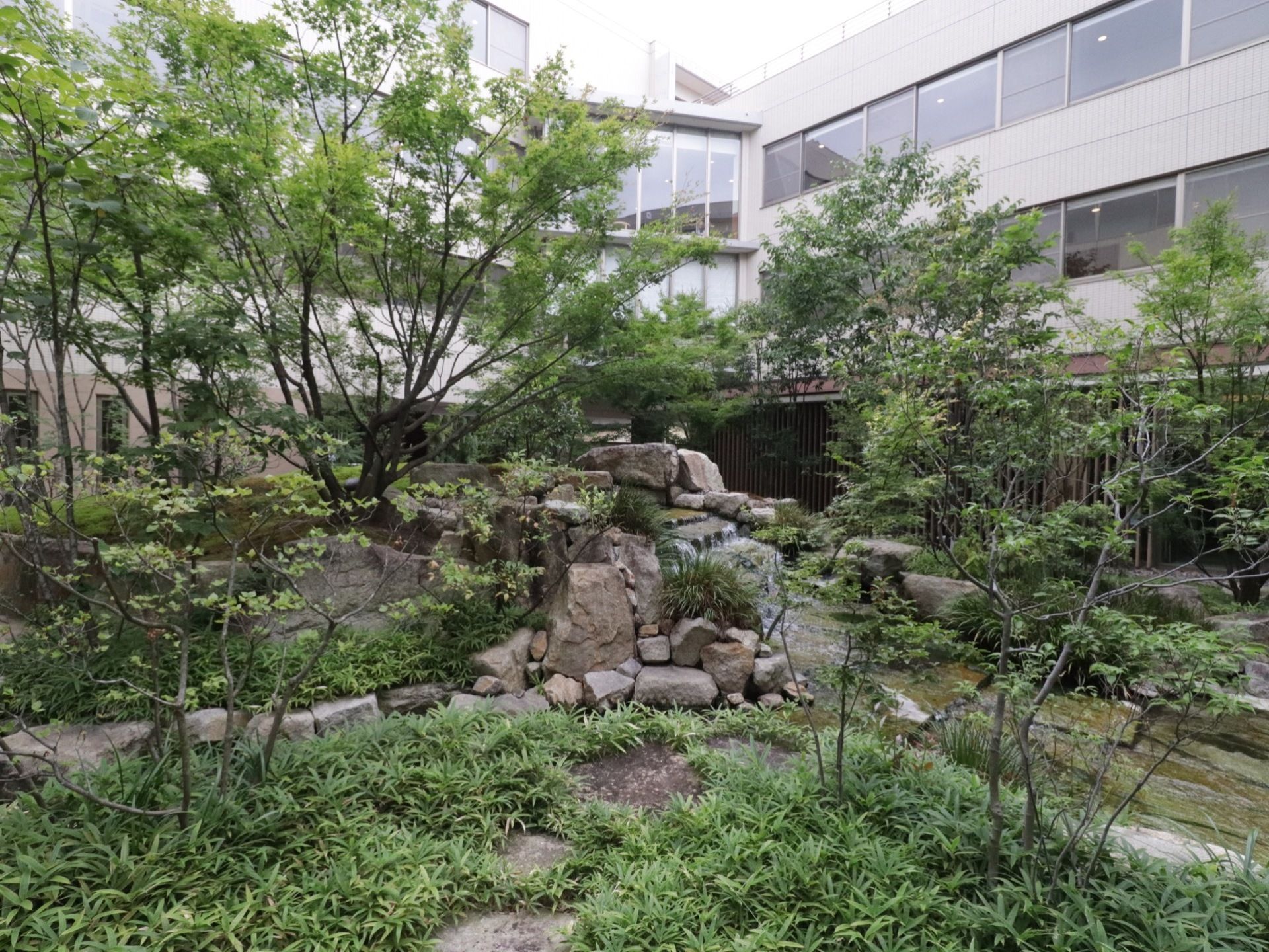 広々とした庭園には、木や植物がたくさん植えられている。人が通りやすいように、大きな岩で通り道が作られている。