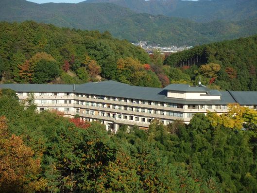 全景