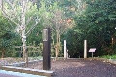 自然に囲まれた休憩スペース