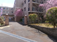 新緑あふれる散歩道