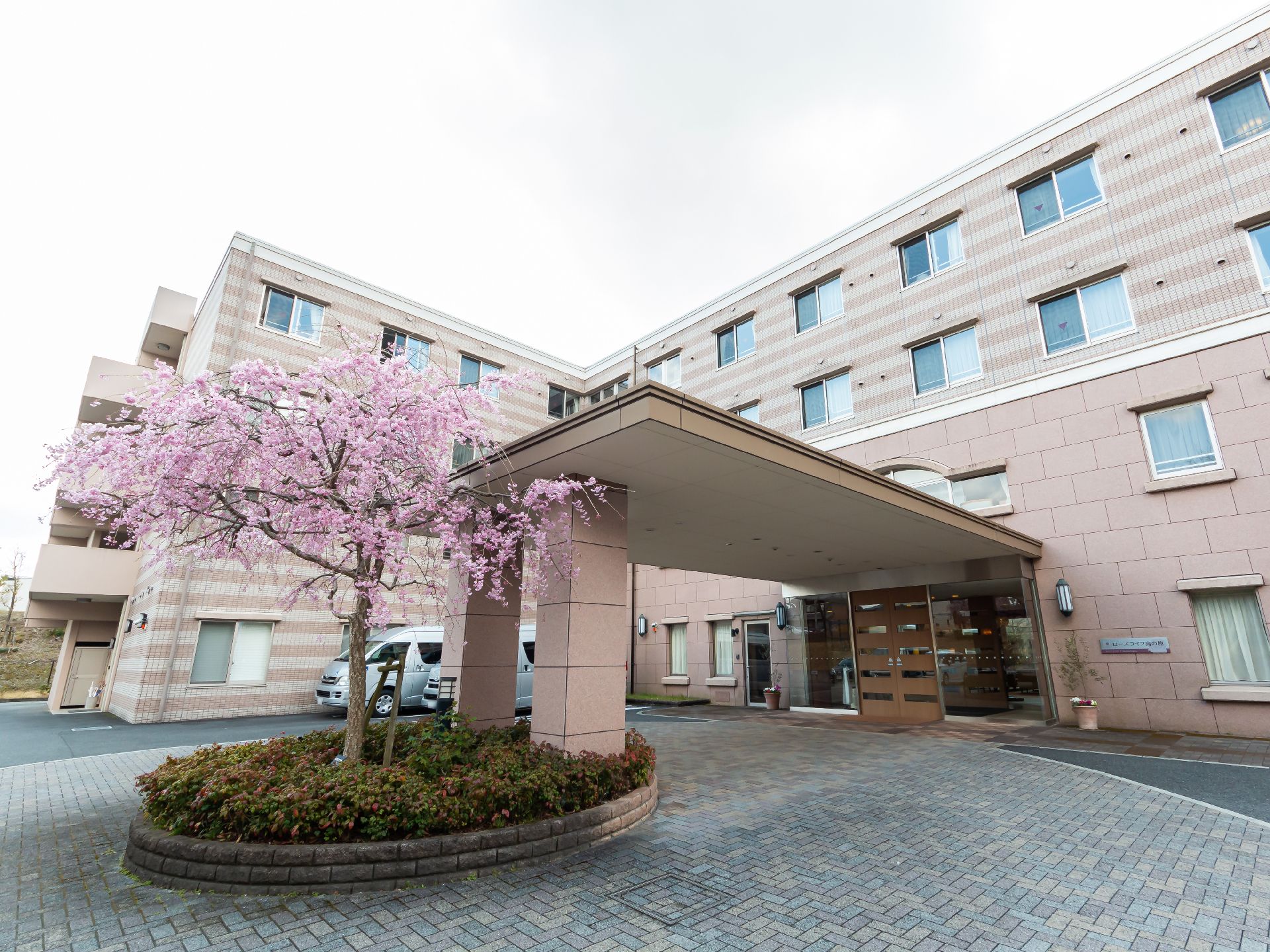 桜が咲く木が植えられた高齢者施設の建物前