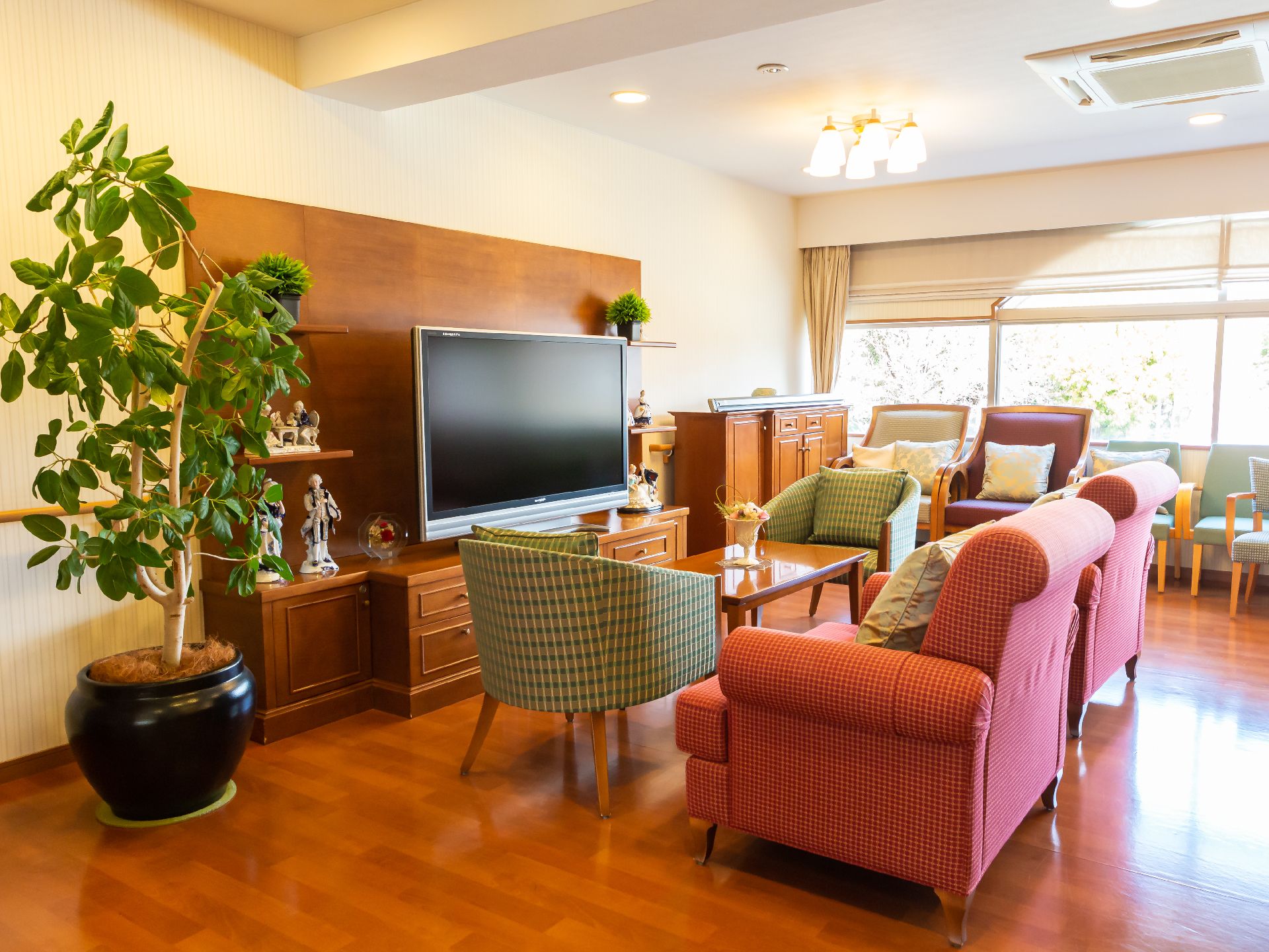 観葉植物やソファーやテレビが配置された共有スペース