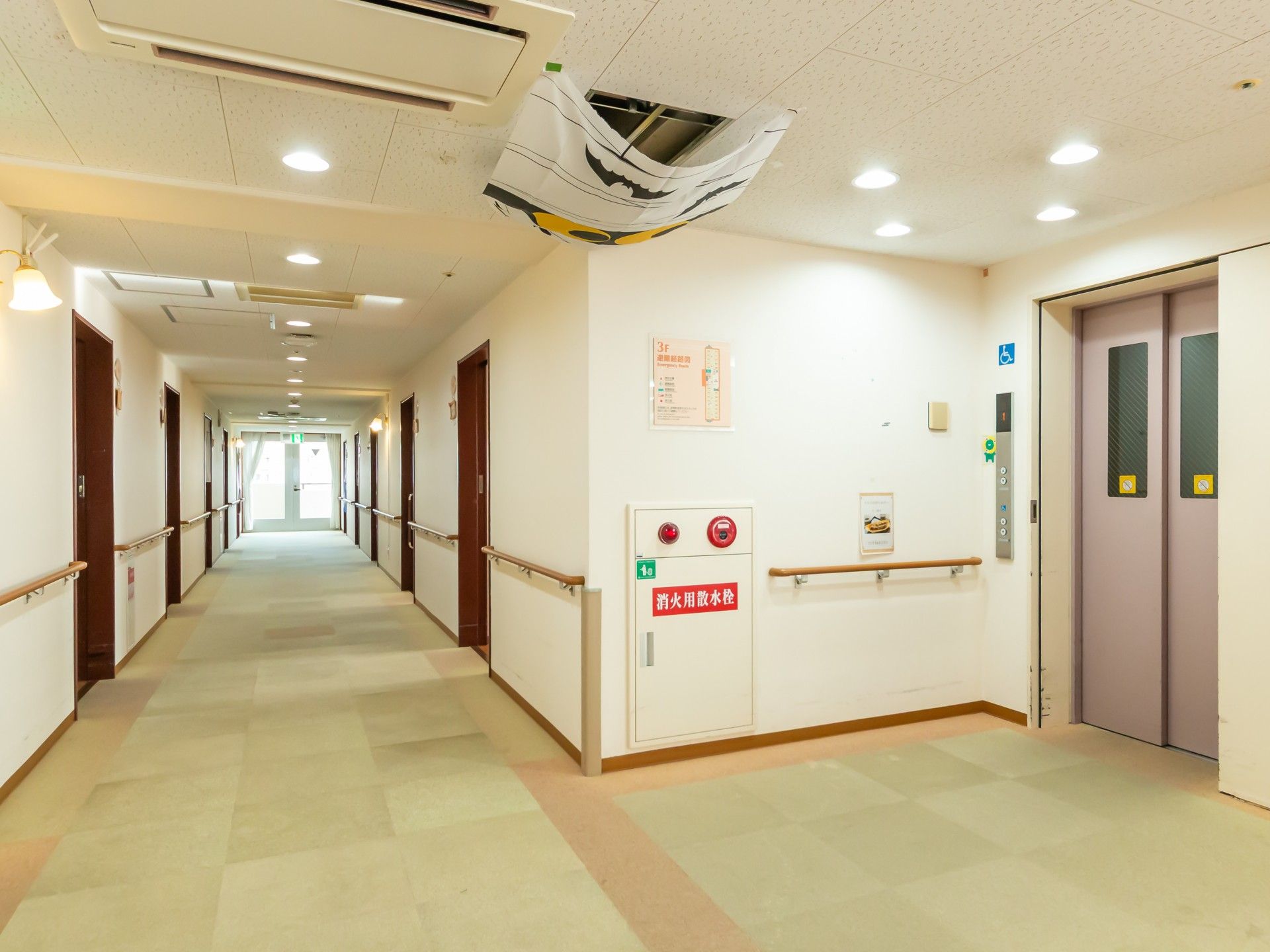 明るい廊下とエレベーター