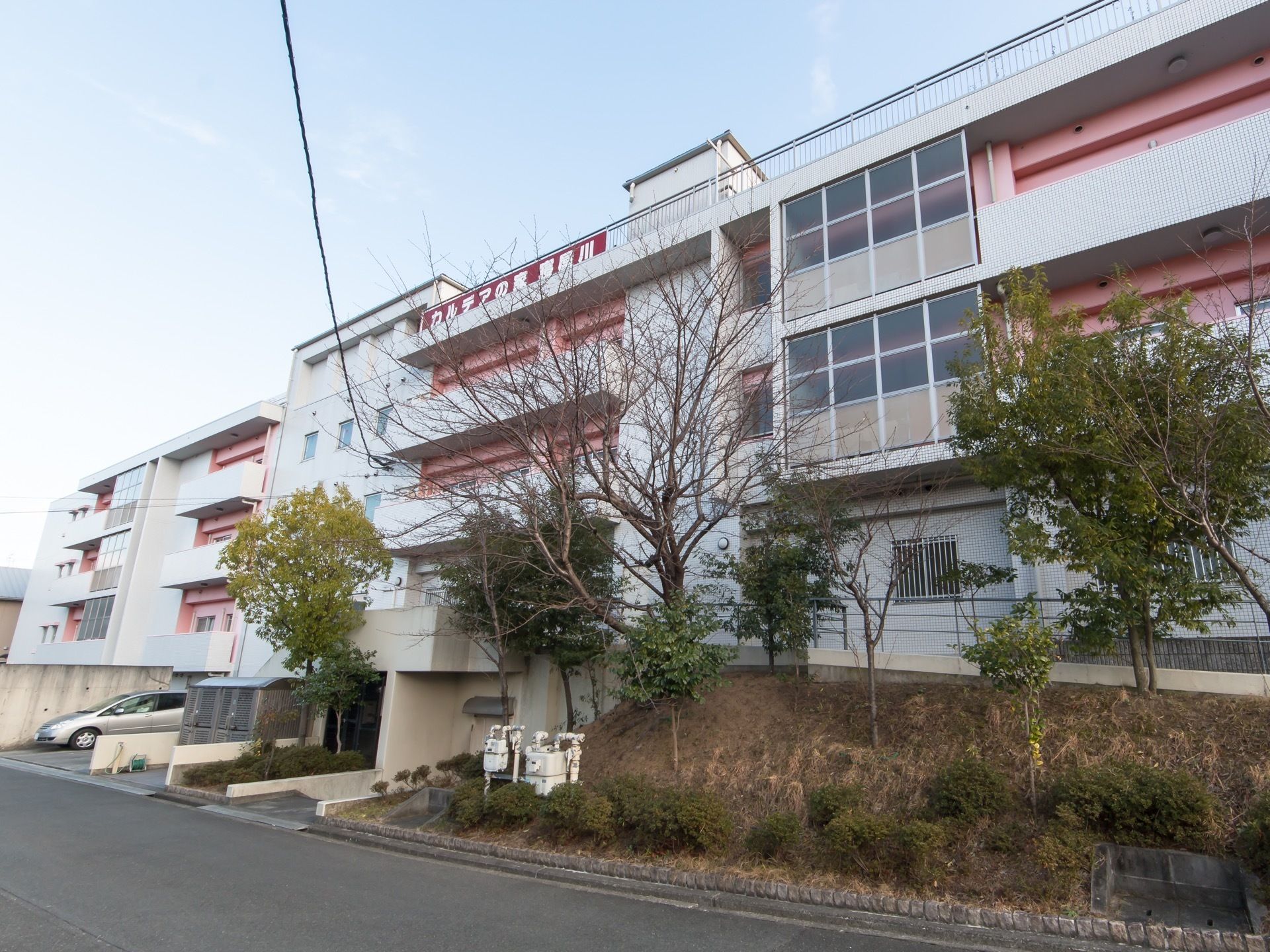 白とピンクの外壁が特徴の建物である。周りに木などの植物が植えられている。駐車スペースにシルバーの自動車が停められている。
