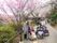 道路の両サイドには、桜並木が広がっている。車椅子をご利用の方が３人と介護士、立っている入居者様がいる。