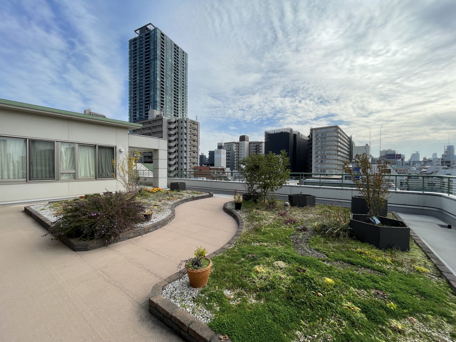 広々とした屋上庭園
