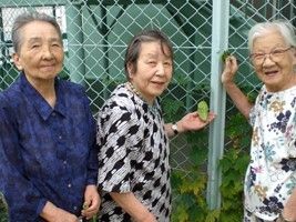 栽培された野菜を手に３名の女性入居者様がこちらを向いて立っておられる。片手に乗るサイズのゴーヤを持っている。