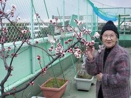 緑のフェンスに更に緑のネットをはり、屋上で植物を育てている。女性の入居者様が梅の花に手を添えて立っておられる。