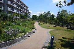 緑豊かな散歩道