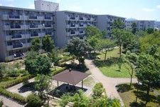 緑豊かな庭園風景