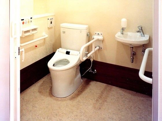 手すりが両側についた介護仕様のトイレの様子。車いすのまま入れる広さのトイレ