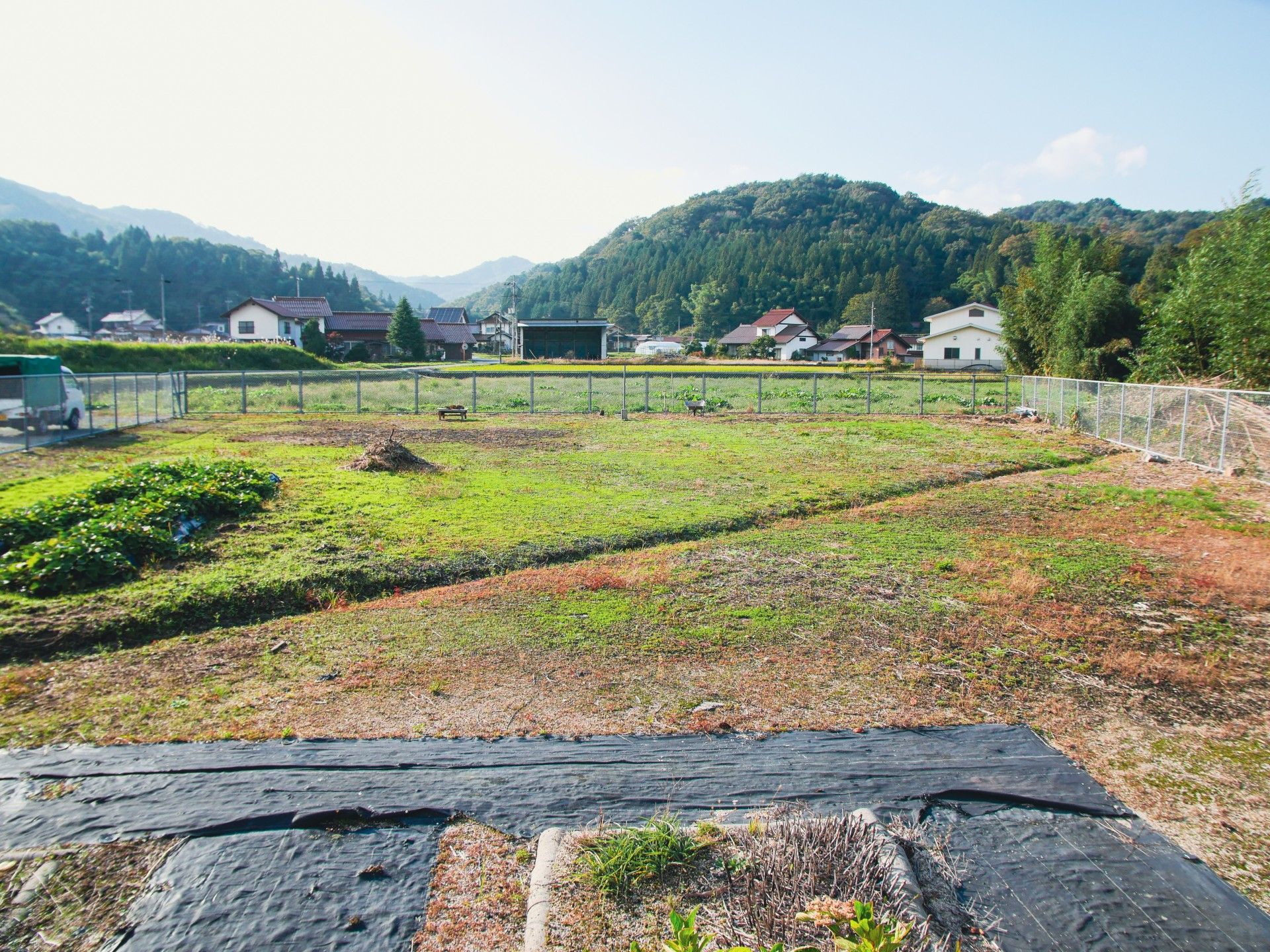 緑豊かな庭園風景
