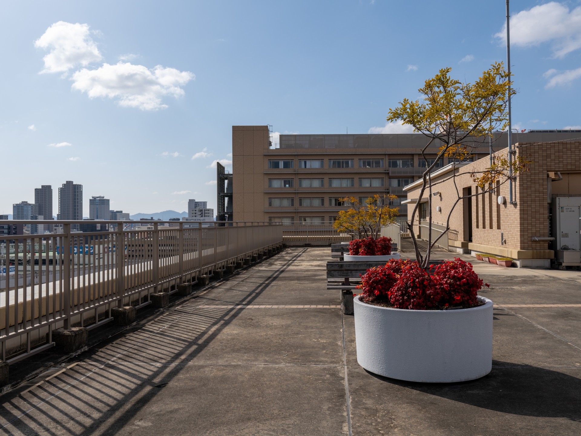 開放的な屋上庭園