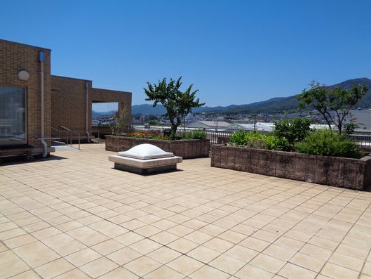 屋上庭園